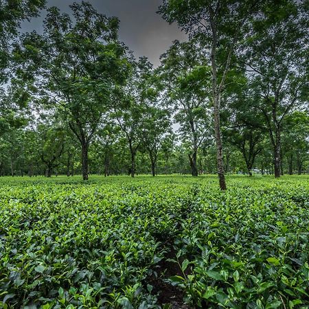 Hotel Tusker Tea County Chālsa Esterno foto